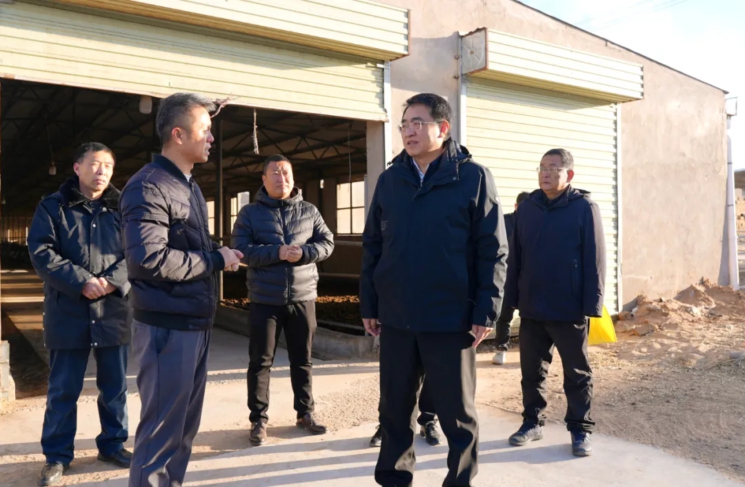 蘇煥喜調(diào)研督導(dǎo)鞏固拓展脫貧攻堅(jiān)成果同鄉(xiāng)村振興有效銜接反饋問(wèn)題整改工作